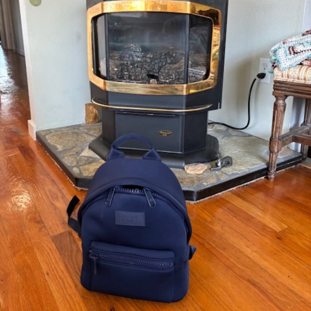 Dagne Dover Neoprene Dakota Backpack (Small)